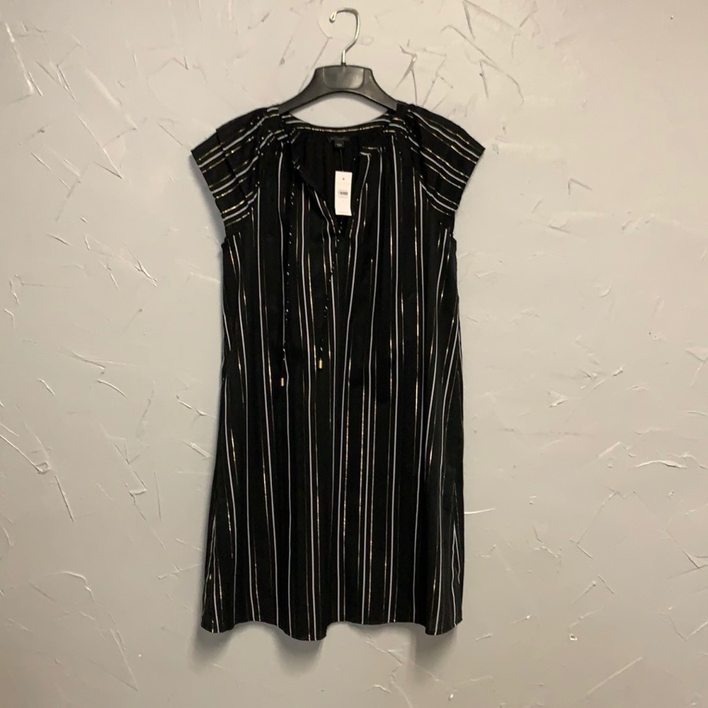 Ann Taylor Dress